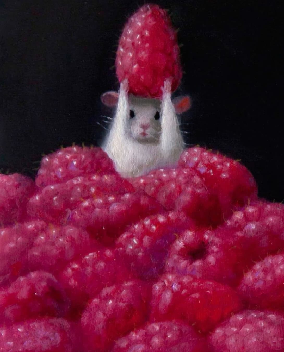 stuart dunkel mouse with raspberry